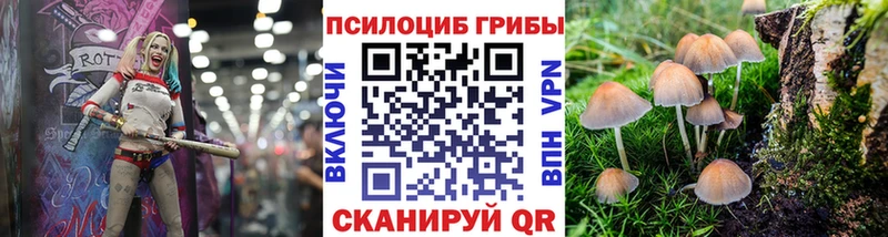 Купить где  Новоалтайск  Псилоцибиновые грибы мухоморы 